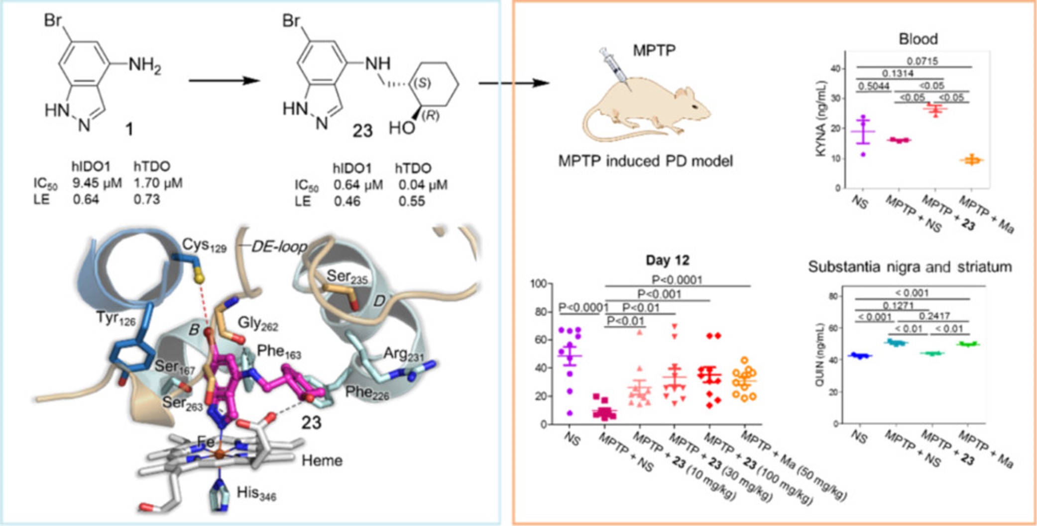 X-ray Structure-Guided Discovery of a Potent, Orally Bioavailable, Dual Human Indoleamine/Tryptophan 2,3-Dioxygenase (hIDO/hTDO) Inhibitor That Shows Activity in a Mouse Model of Parkinson's Disease.