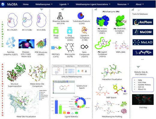 MeDBA: the Metalloenzyme Data Bank and Analysis Platform.